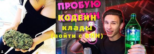 не бодяженный Алексин