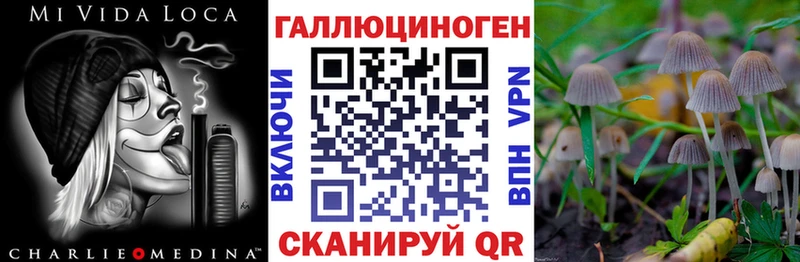 Псилоцибиновые грибы Cubensis  магазин    Соликамск 